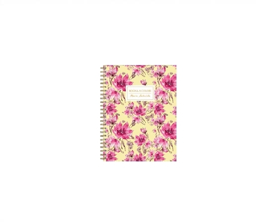 CUADERNO C/ESPIRAL ROZINI T/D 16X21 80H RAYADO PADOVA