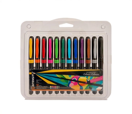 MARCADOR PERMANENTE BIC INTENSITY EST X6