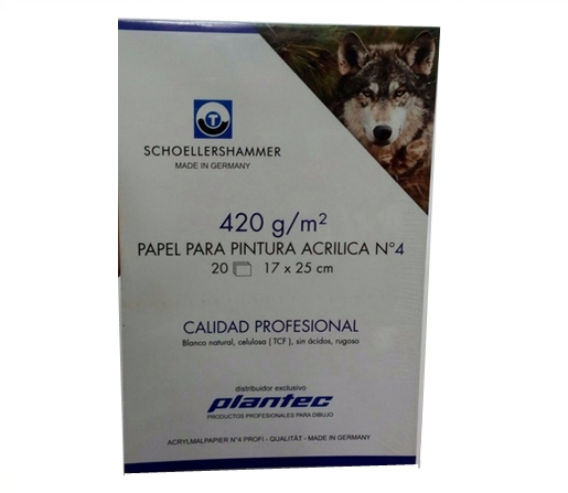 PAPEL P/PINTURA ACRILICA SCHOELLERSHAMMER N° 4 17X25 420G 20H