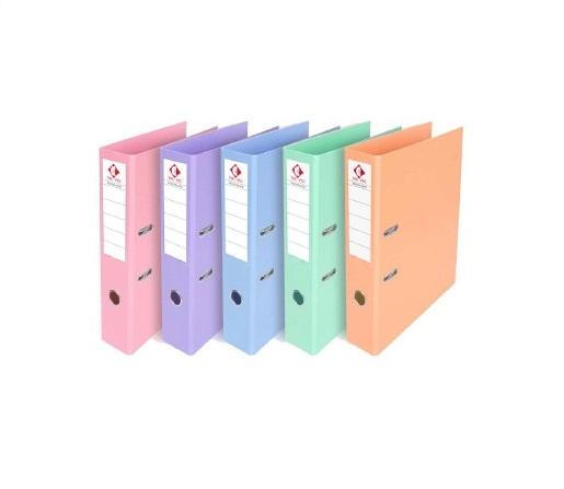 BIBLIORATO PVC THE PEL LOMO ANGOSTO OFICIO PASTEL