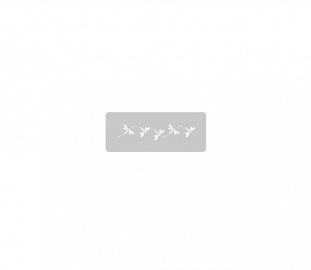 STENCIL EQ ARTE 4.5X17CM LIBELULAS