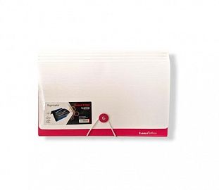 CLASIFICADOR 12 DIVISIONES LAMA CHEQUE COMBINADO BLANCO/FUCSIA