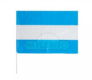 BANDERA MILENIO ARGENTINA PLASTICA 40X60 S/SOL