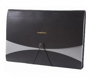 CLASIFICADOR 12 DIVISIONES LAMA A4 OPACO NEGRO-GRIS