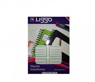 ETIQUETA ESCOLAR P/CUADERNO LIGGO VERDE 30H