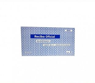 RECIBO OFICIAL NUMERADO NIVEL 10 DUPLICADO 21.5X11.5 X40