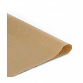 PAPEL MISIONERO ARCOLOR LIVIANO 70X100 130G