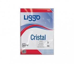 FOLIO LIGGO CRISTAL 40 MICRONES ESCOLAR X100