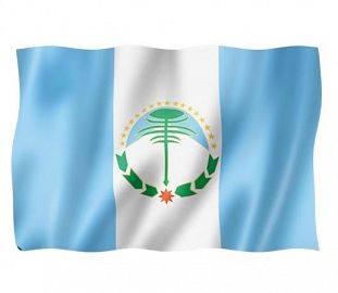 BANDERA MILENIO PROVINCIA DE NEUQUEN 90X150