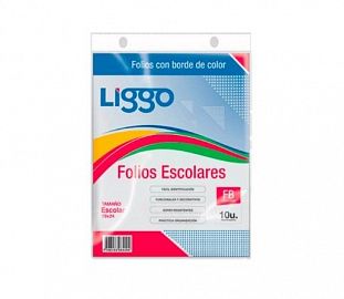 FOLIO LIGGO BORDE COLOR ESCOLAR X 10