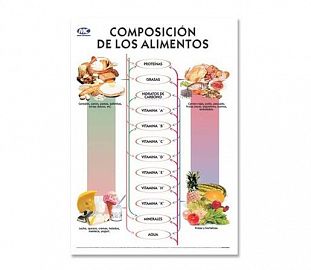 LAMINA M.C N°5 SALUD - COMPOSICION DE LOS ALIMENTOS X10