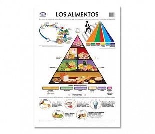 LAMINA M.C N°5 SALUD - LOS ALIMENTOS X10