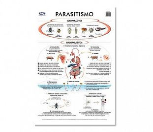 LAMINA M.C N°5 ZOOLOGIA - PARASITISMO X10